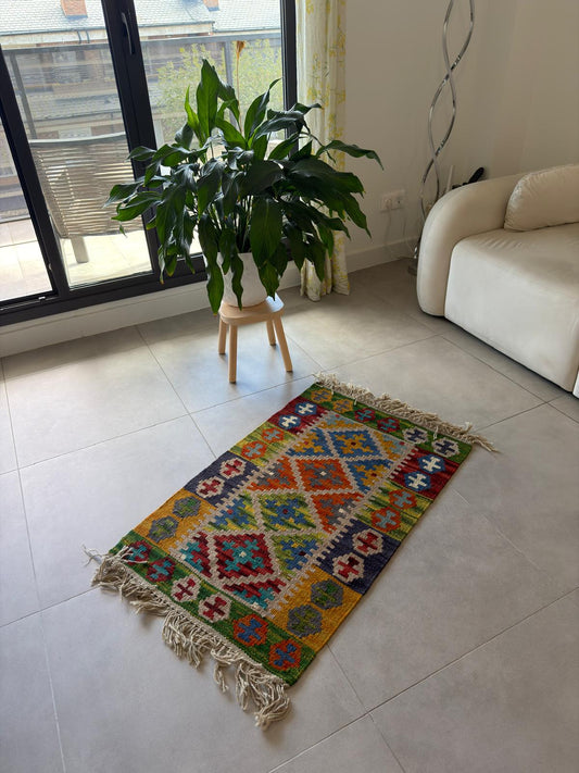 Colorful patterned rug on a tiled floor with a plant and white sofa in the background.
