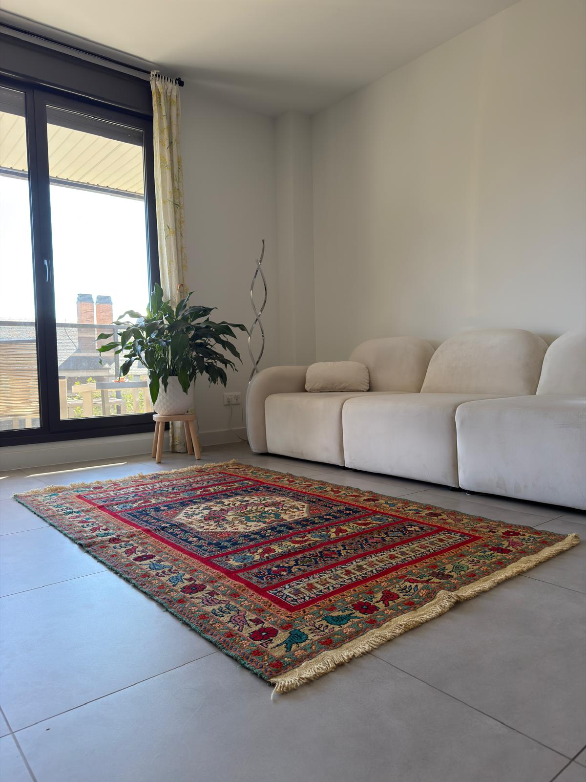 Living room with a colorful patterned rug, beige sofa, and a plant near a window.