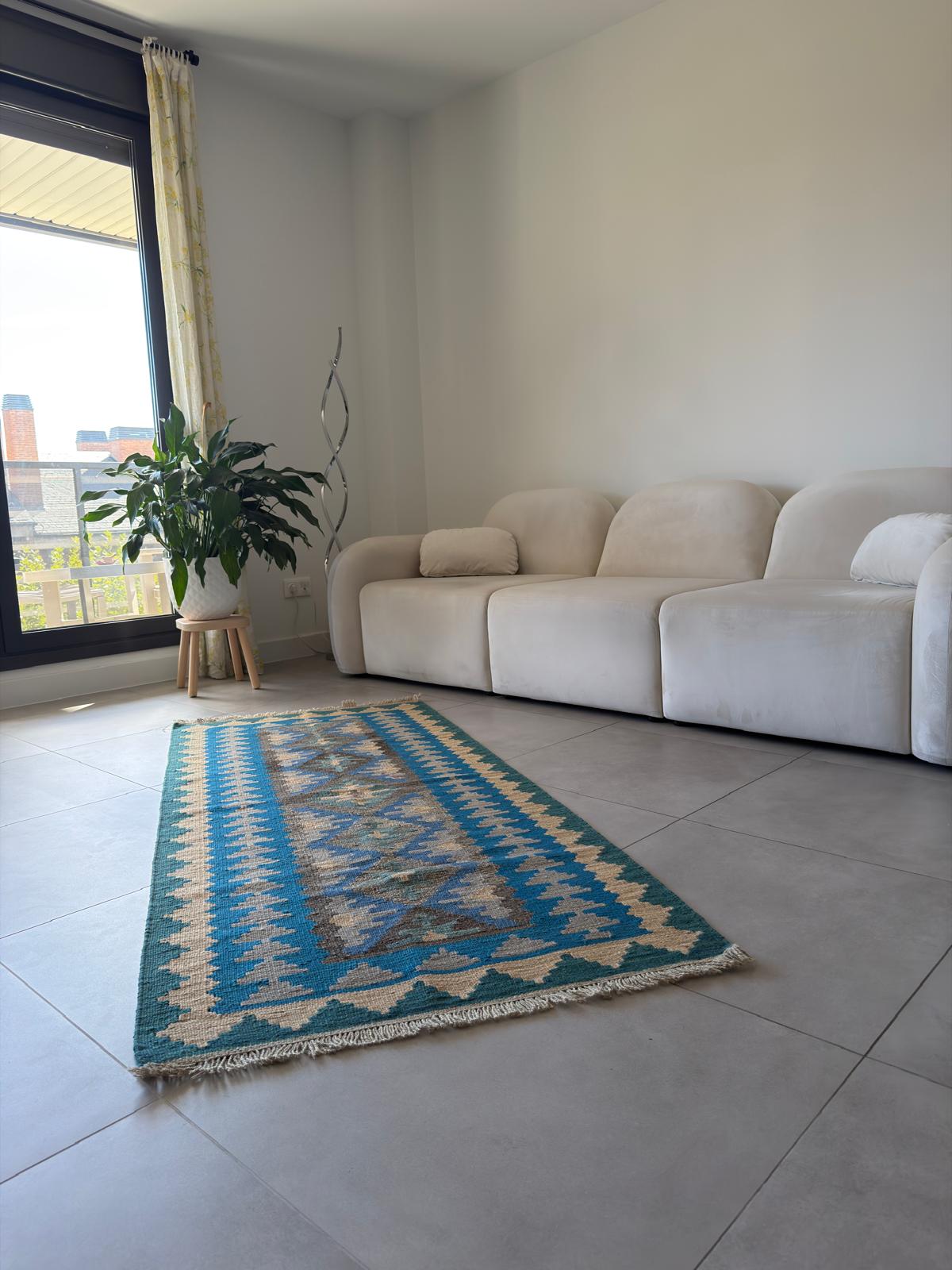 Living room with a blue and beige patterned rug, white sofa, and plant near a window.