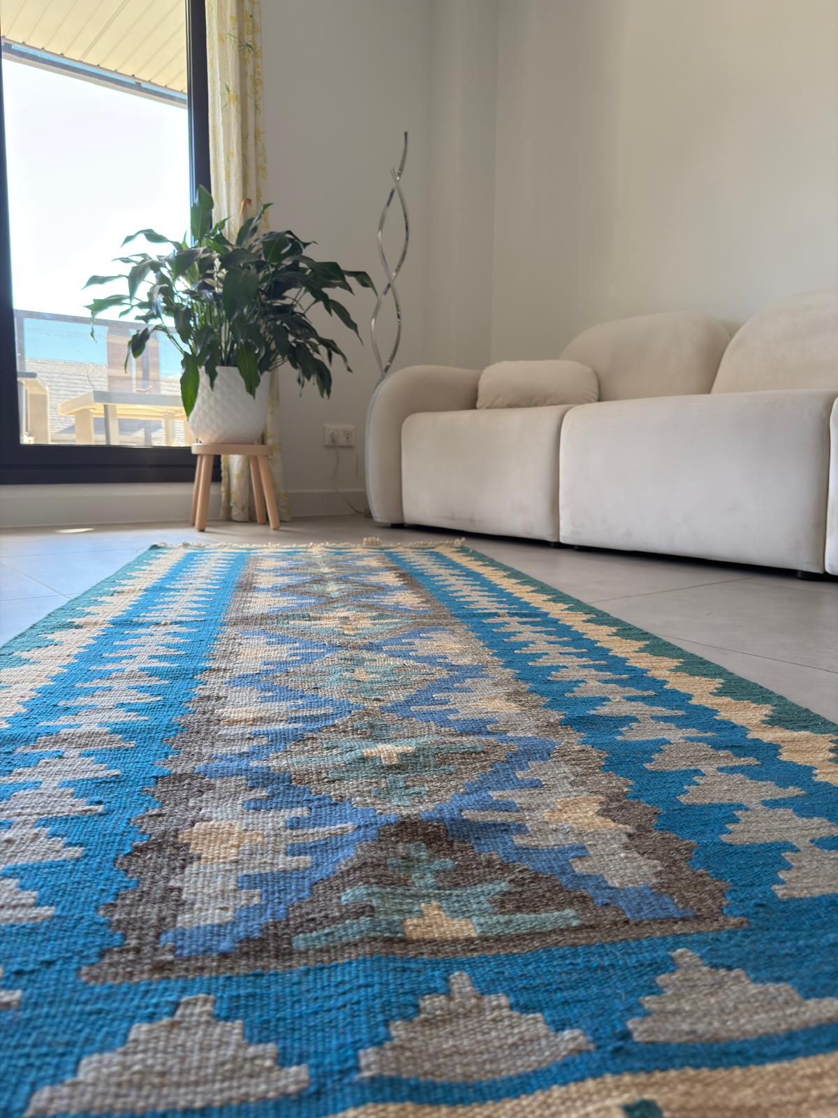 Living room with a blue and beige patterned rug, beige sofa, and plant.